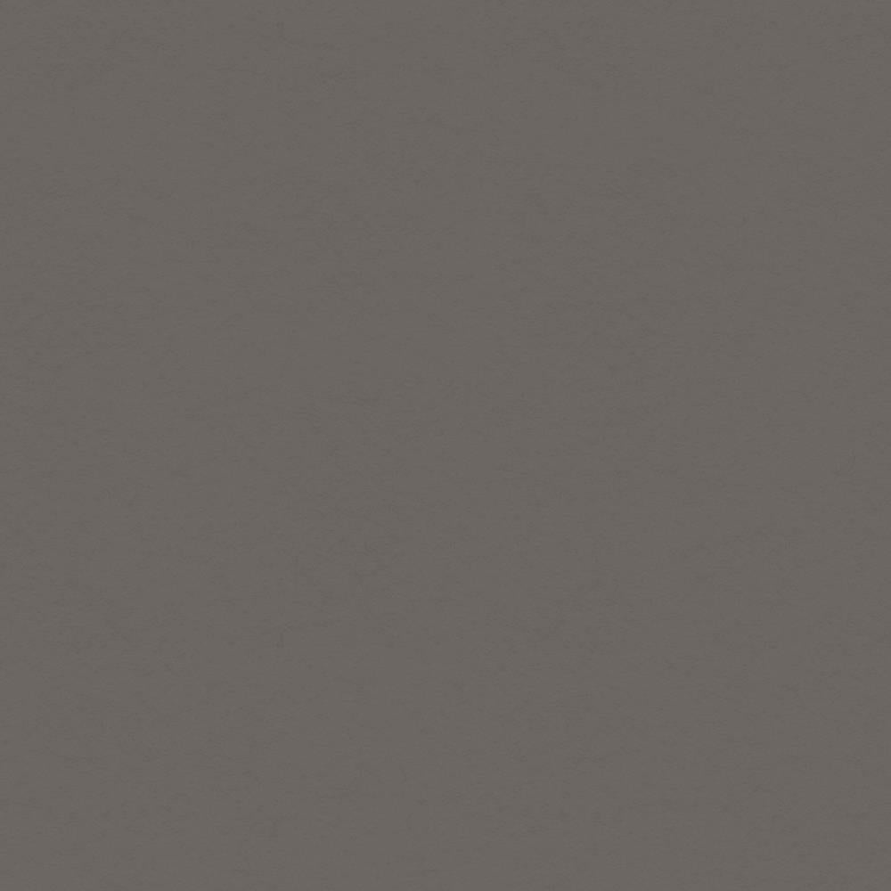 Cartulina 12x2 Phantom Gray
