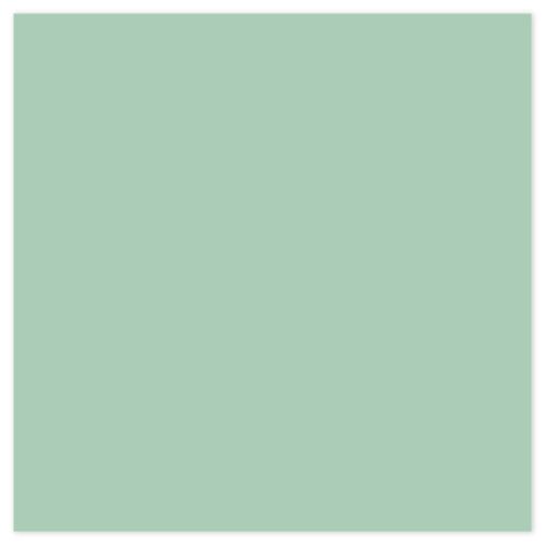 HTV SISER /Iron-On - Sage