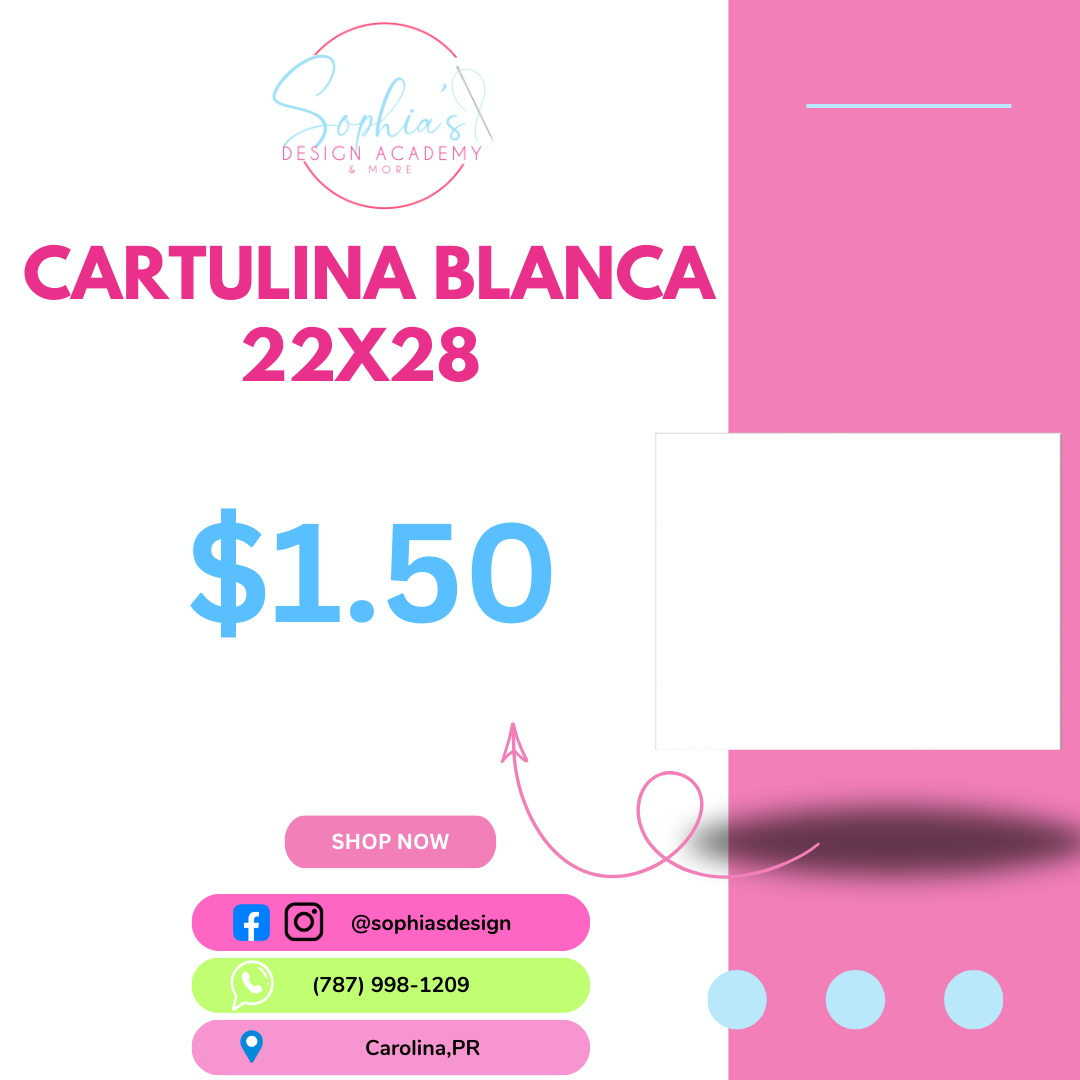 Cartulina Blanca 22x28