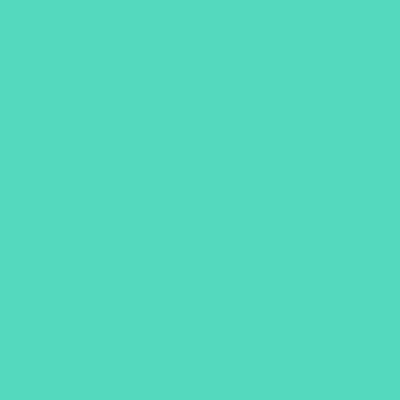 HTV SISER /Iron-On - Retro Mint