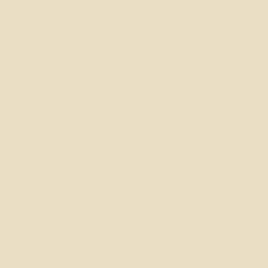 Vinyl Adhesivo - Cream & Sugar 12x12"