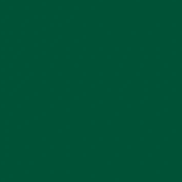 Vinyl Adhesivo - Verde Kelly 12x12"