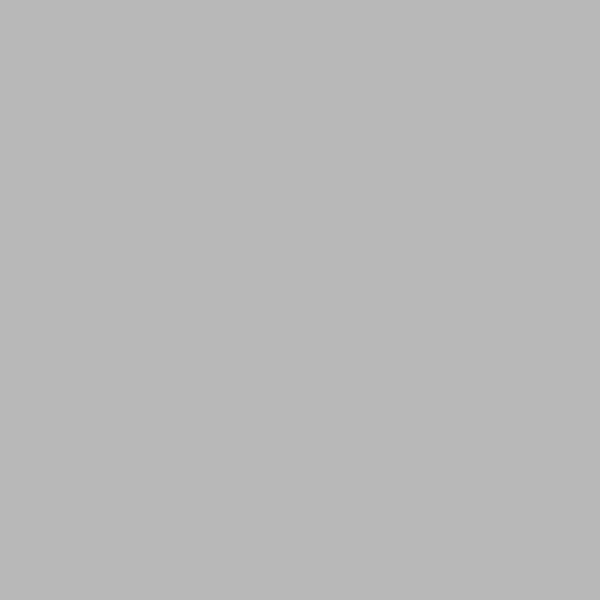 HTV/Iron-On - Plata