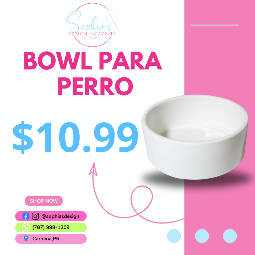 bowl para perro