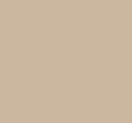 Cartulina color KRAFT