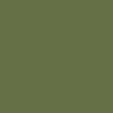 HTV SISER /Iron-On - Green Olive
