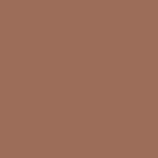HTV SISER /Iron-On - Hazelnut