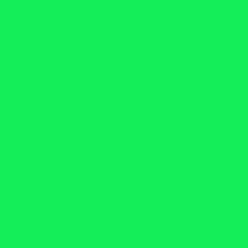 HTV SISER /Iron-On - FI. Green