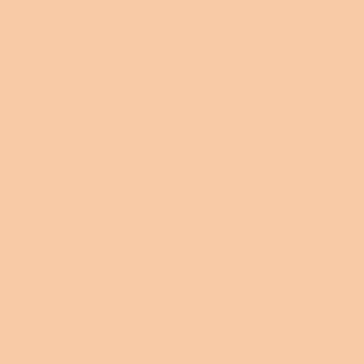 HTV SISER /Iron-On - Light Apricot
